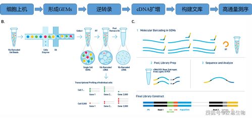 欧 易官网下载安装_欧易交易所百度百科下载